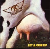 aerosmith-grip.jpg (7288 bytes)